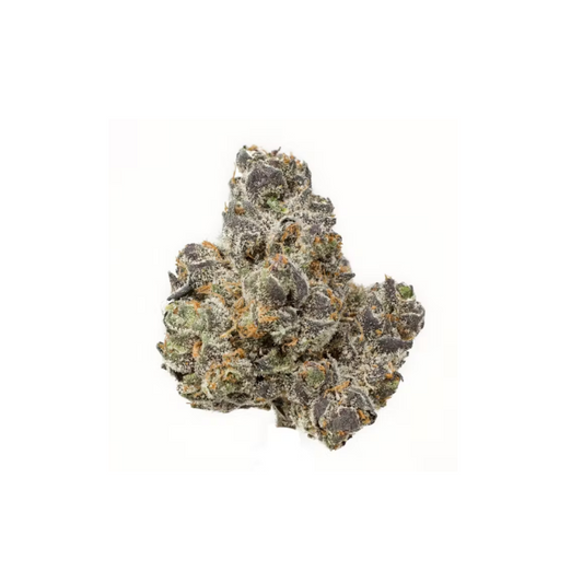Apple Fritter | 1/8 oz