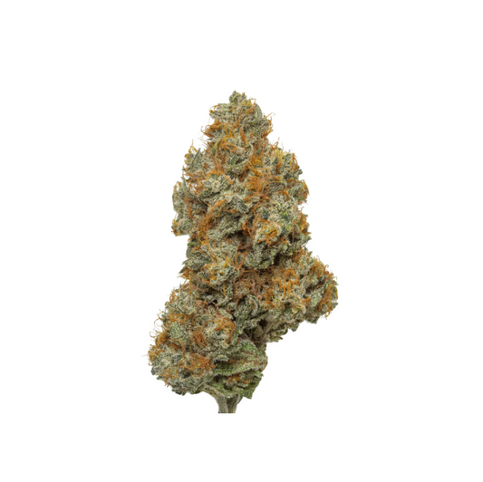 Northern Lights | 1/8 oz